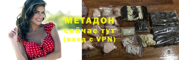 шишки Арсеньев