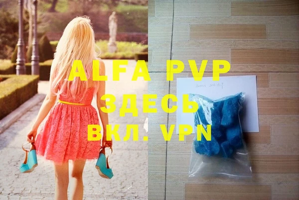 шишки Арсеньев
