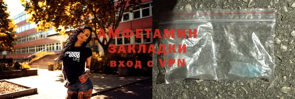шишки Арсеньев