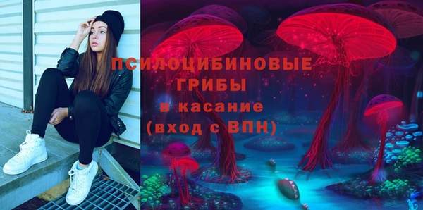 шишки Арсеньев
