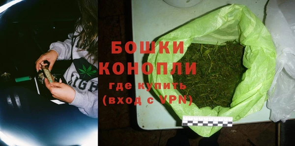 шишки Арсеньев