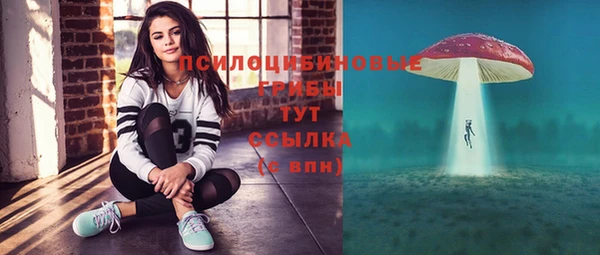 винт Армянск
