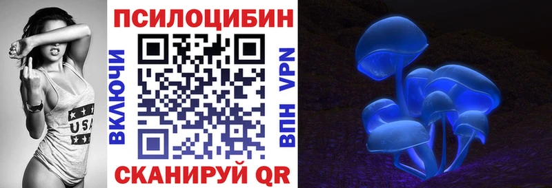 хочу наркоту  Сухиничи  Псилоцибиновые грибы Cubensis 